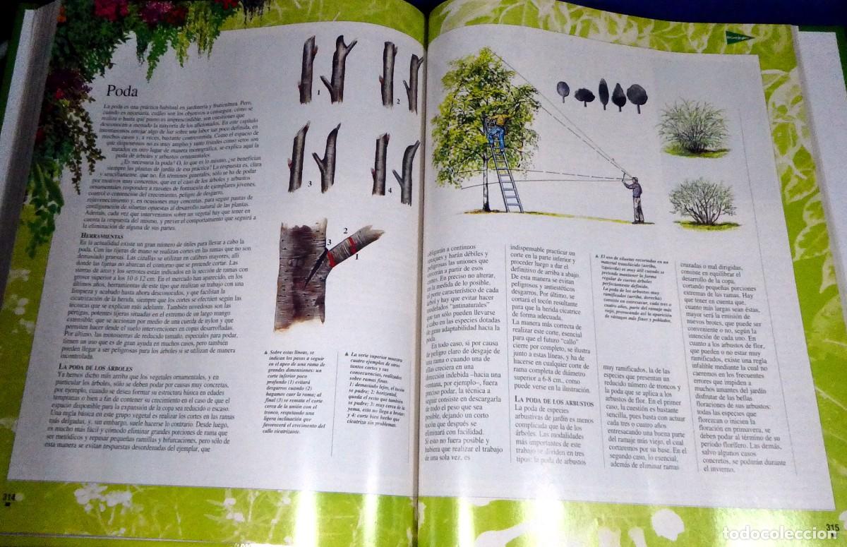 Libros de segunda mano: El LIBRO de oro de las PLANTAS y JARDINES - Foto 13