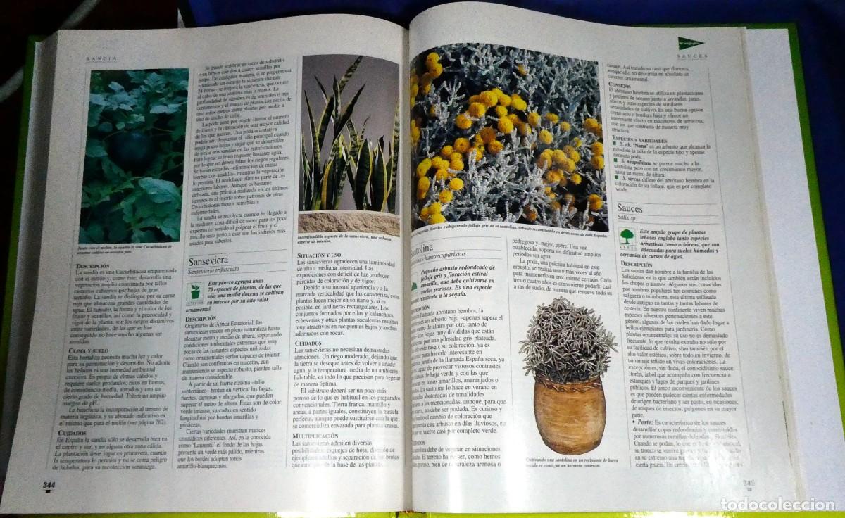 Libros de segunda mano: El LIBRO de oro de las PLANTAS y JARDINES - Foto 14