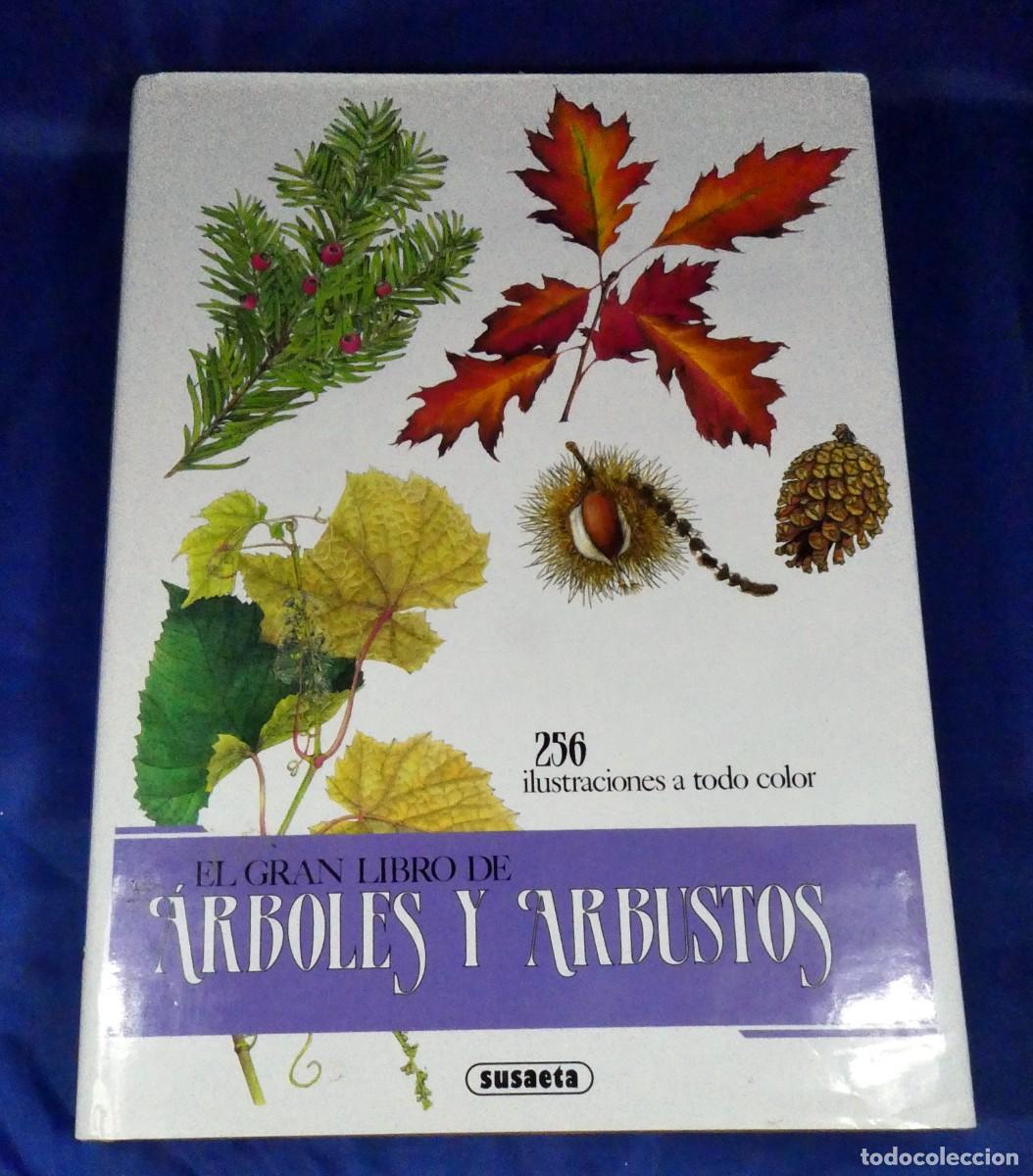Libros de segunda mano: &Aacute;RBOLES Y ARBUSTOS (de ediciones Susaeta) - Foto 1