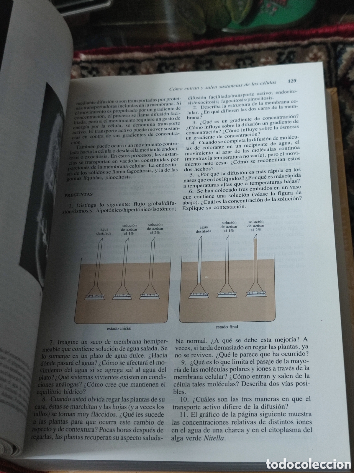 Libros de segunda mano: Invitaci&oacute;n a la biolog&iacute;a Helena Curtis - Foto 3