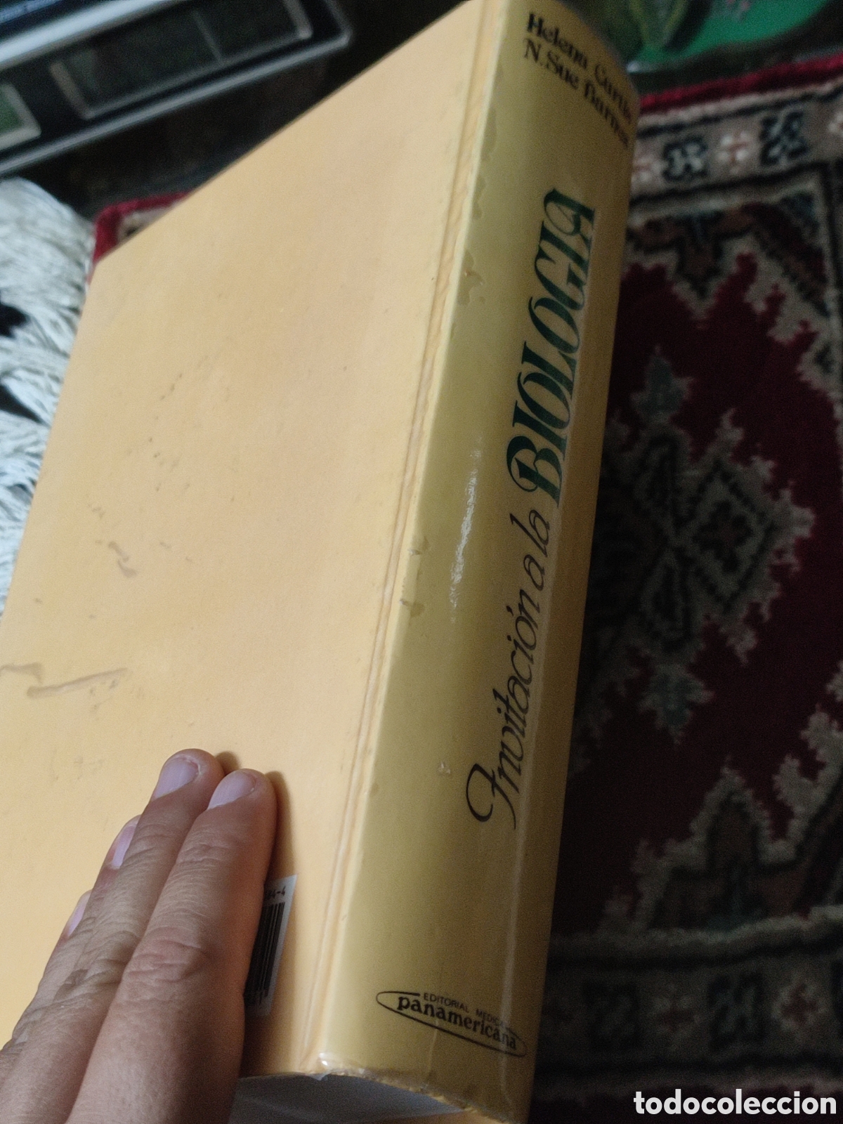 Libros de segunda mano: Invitaci&oacute;n a la biolog&iacute;a Helena Curtis - Foto 5