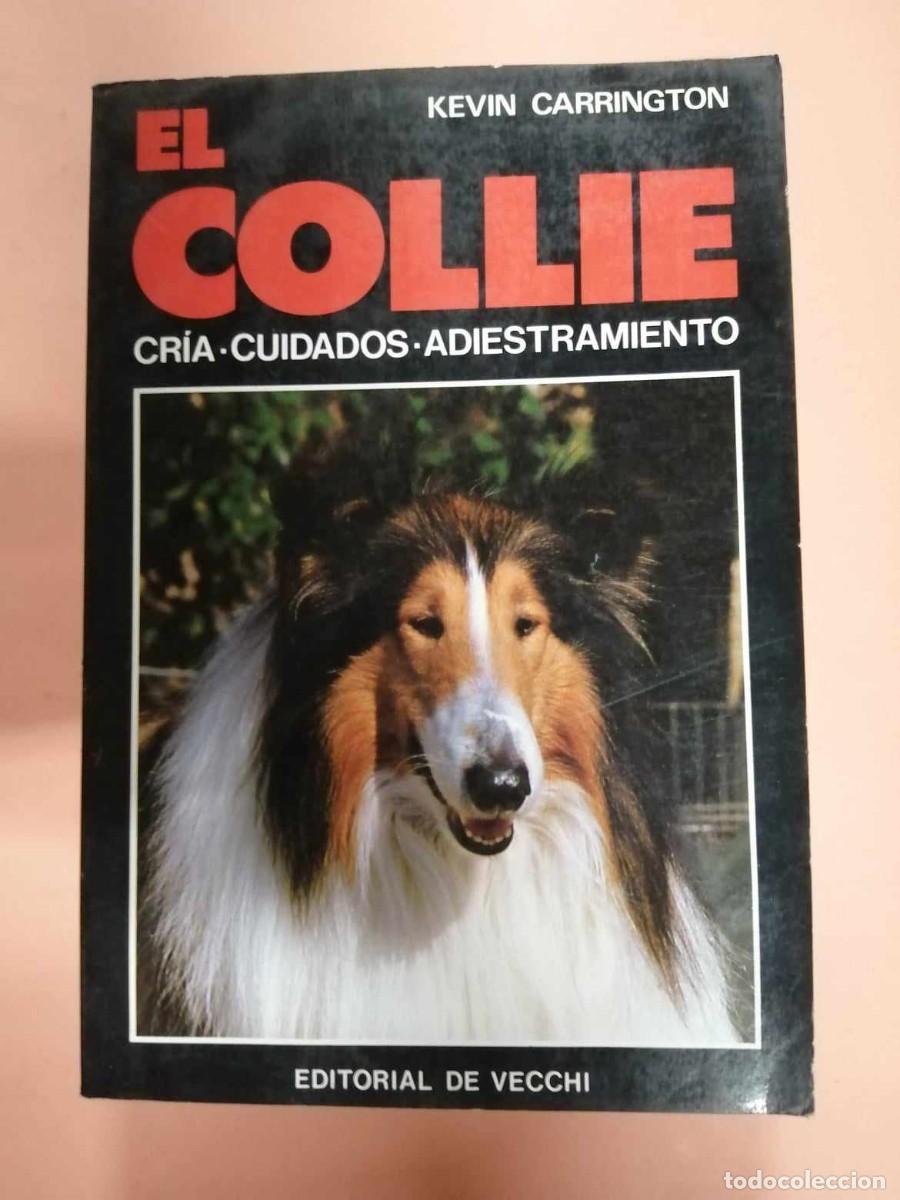 Libros de segunda mano: EL COLLIE (KEVIN CARRINGTON) - Foto 1
