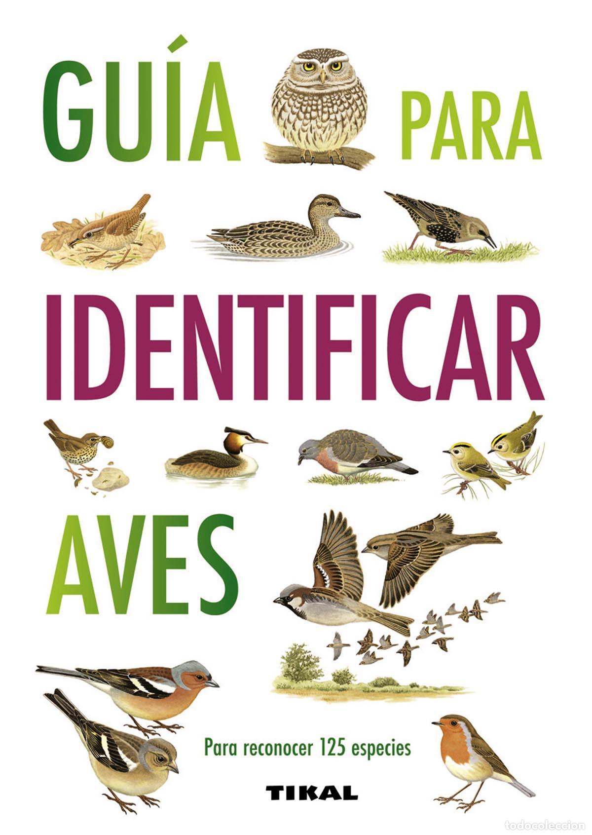 Libros de segunda mano: Gu&iacute;a para identificar aves. - Hammond, Nicholas. - Foto 1