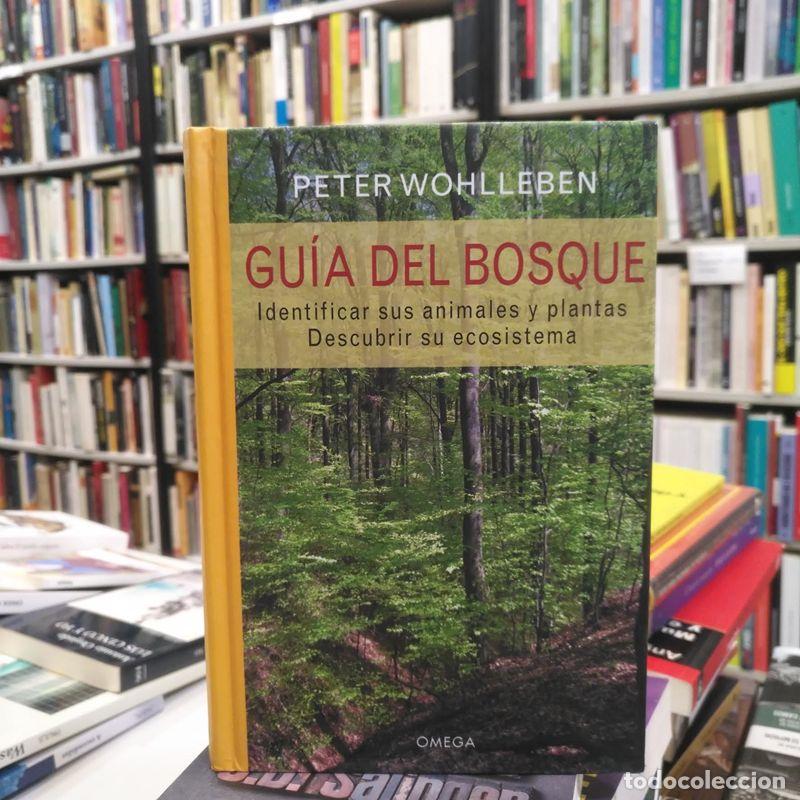 Libros de segunda mano: GUIA DEL BOSQUE. - Wohlleben, Peter. - Foto 1