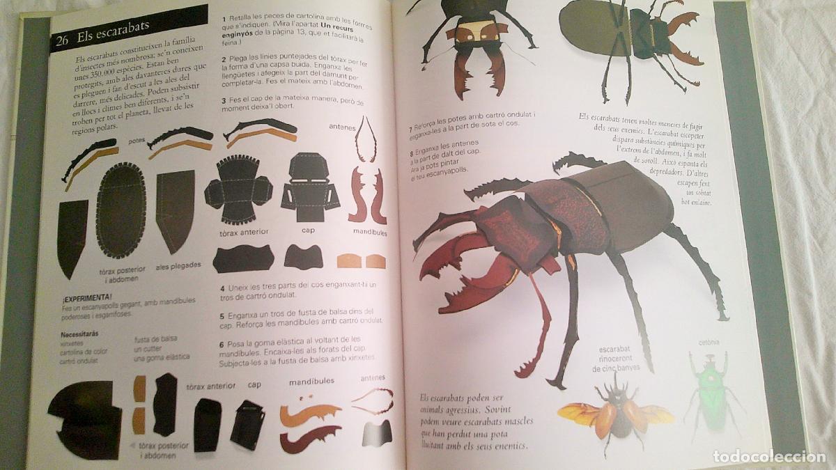 Libros de segunda mano: LIBRO E02 * EXPERIMENTO AMB ELS INSECTES EDITORIAL CRU&Iuml;LLA CATALAN - Foto 3