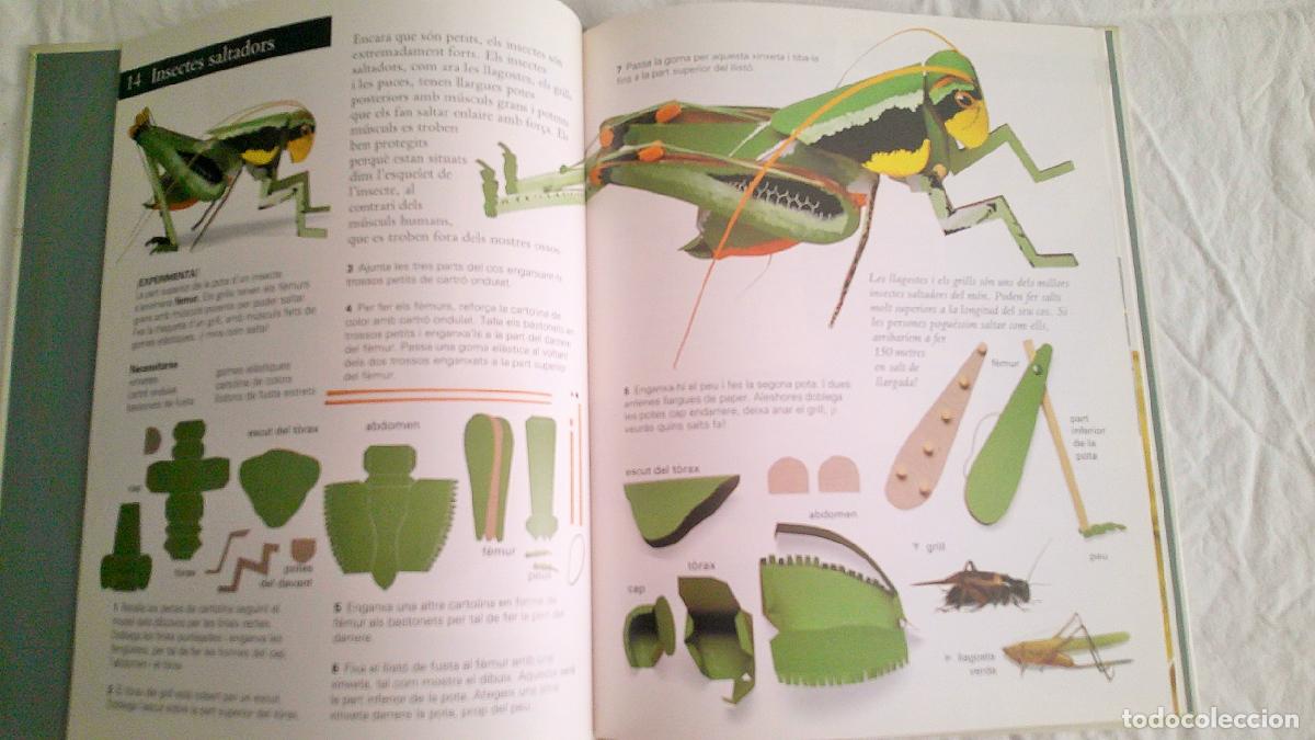 Libros de segunda mano: LIBRO E02 * EXPERIMENTO AMB ELS INSECTES EDITORIAL CRU&Iuml;LLA CATALAN - Foto 4