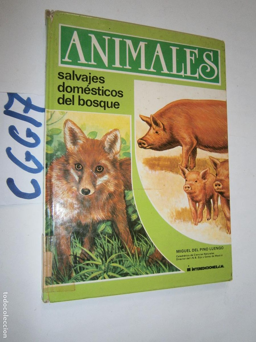 Libros de segunda mano: ANTIGUO LIBRO - ANIMALES - Foto 1