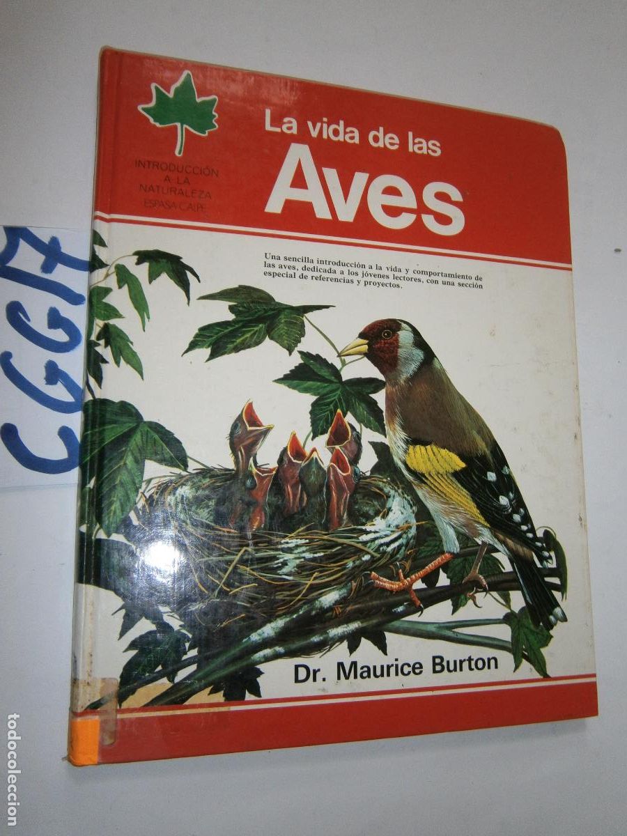 Libros de segunda mano: ANTIGUO LIBRO - LA VIDA DE LAS AVES - Foto 1