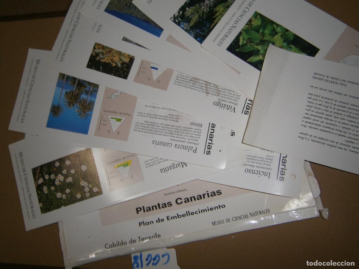 Libros de segunda mano: FICHAS - PLANTAS DE CANARIAS - Foto 1