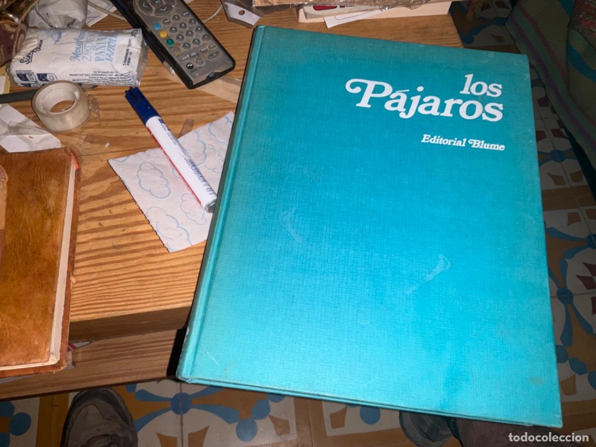 Libros de segunda mano: Los pajaros ed Blume - Foto 1