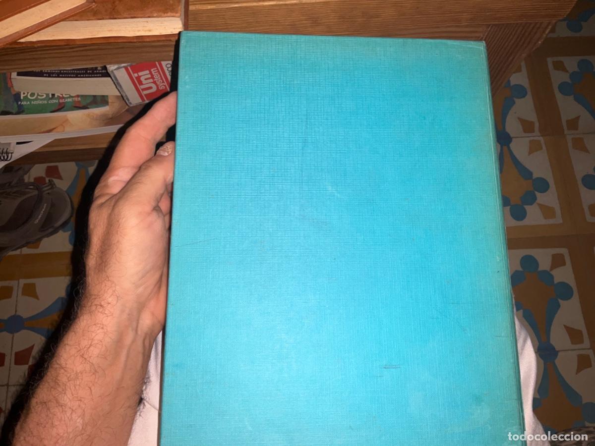 Libros de segunda mano: Los pajaros ed Blume - Foto 2