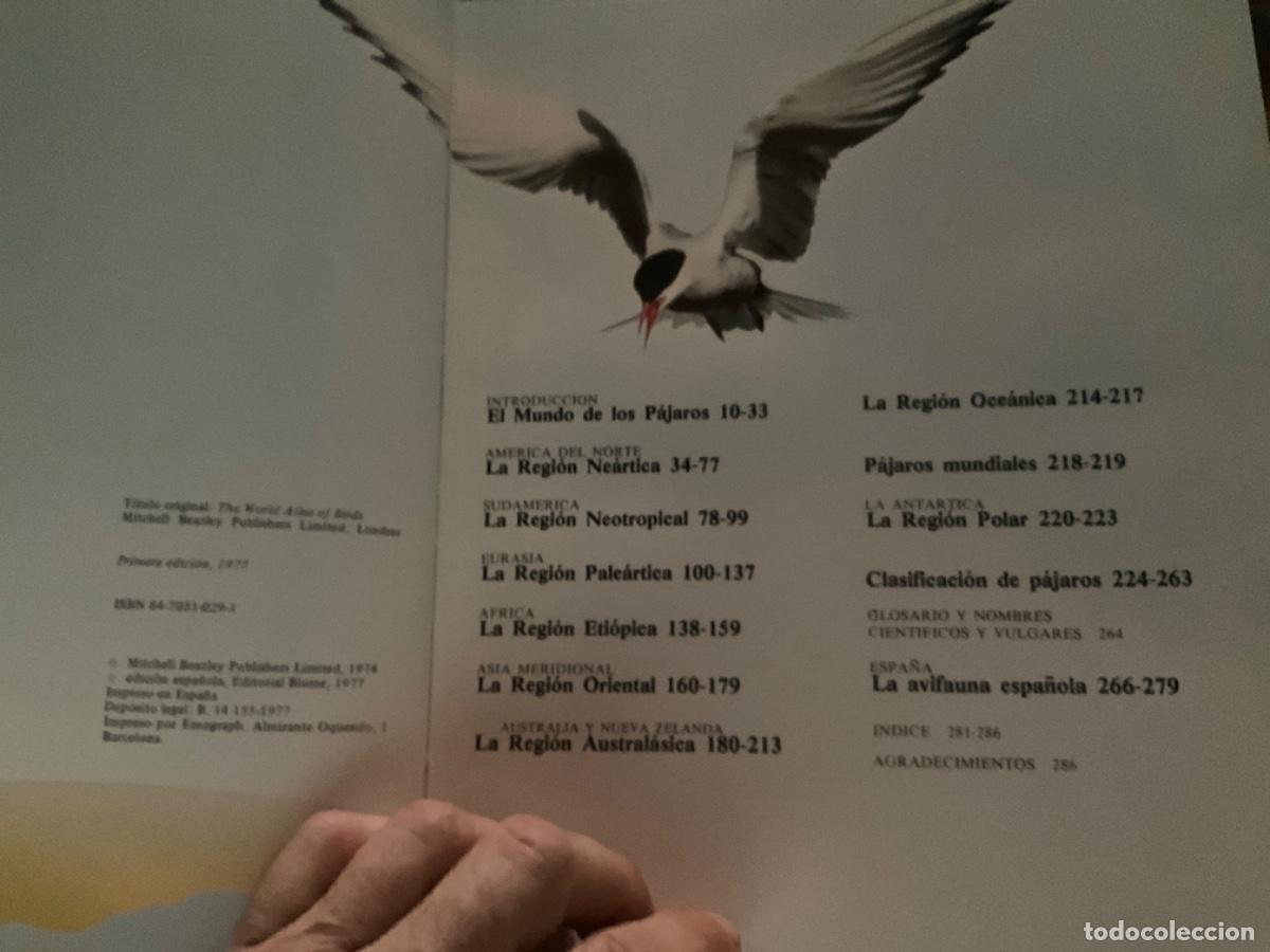 Libros de segunda mano: Los pajaros ed Blume - Foto 4