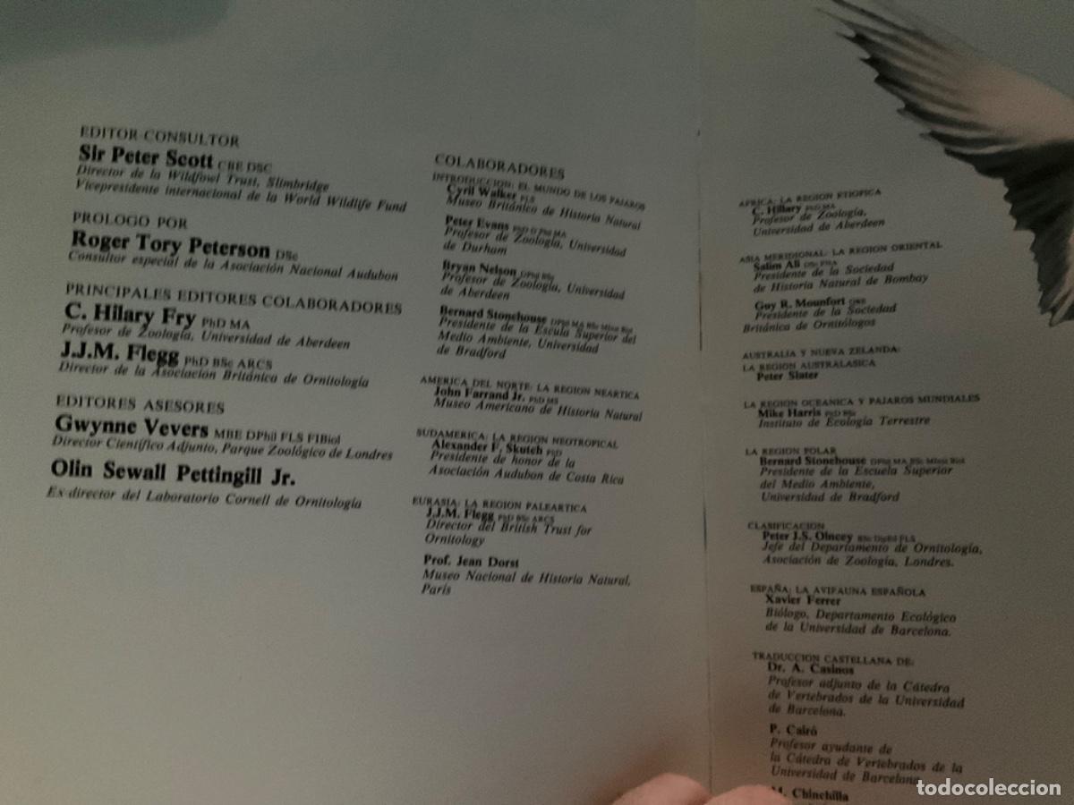 Libros de segunda mano: Los pajaros ed Blume - Foto 5