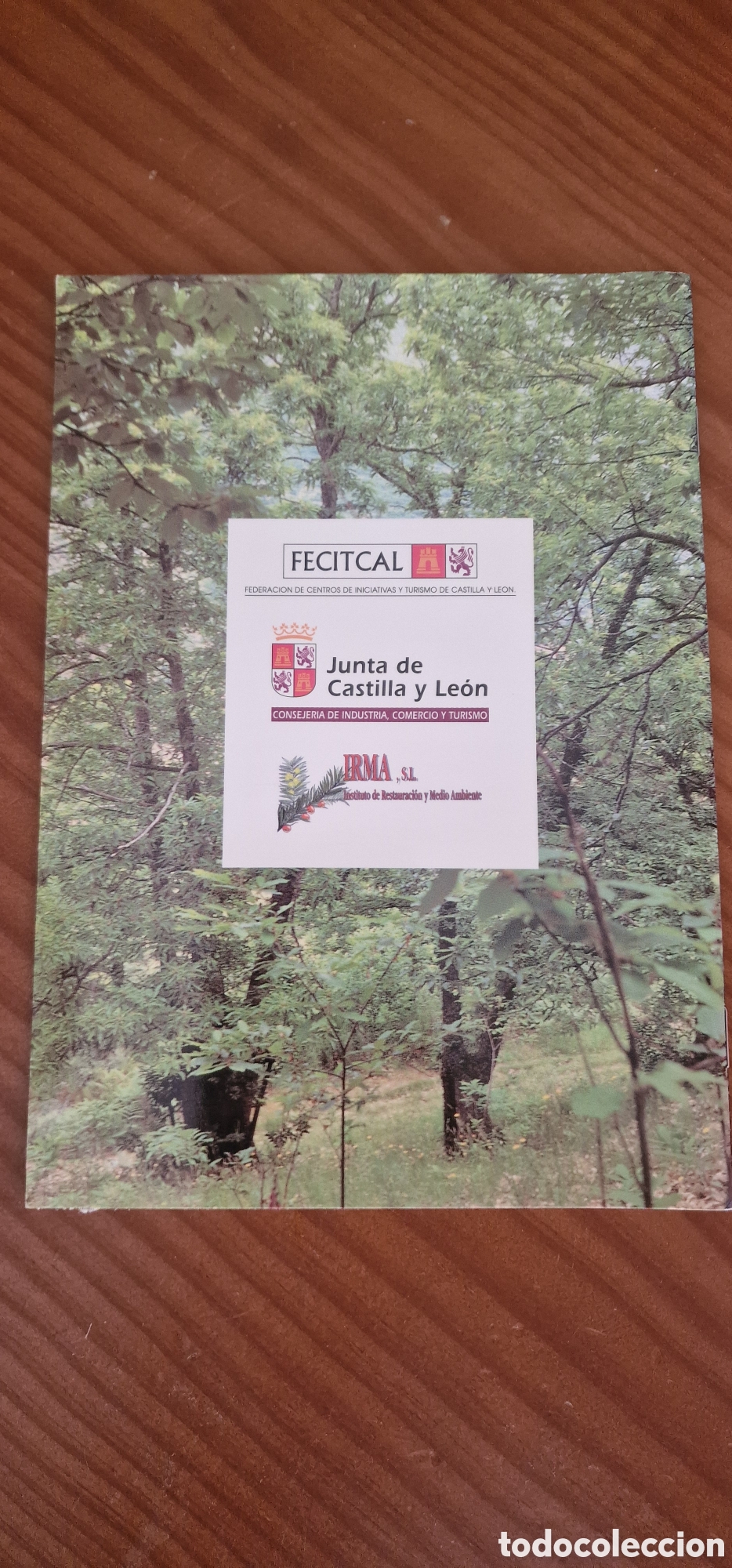 Libros de segunda mano: Las setas de los Casta&ntilde;os - Foto 2