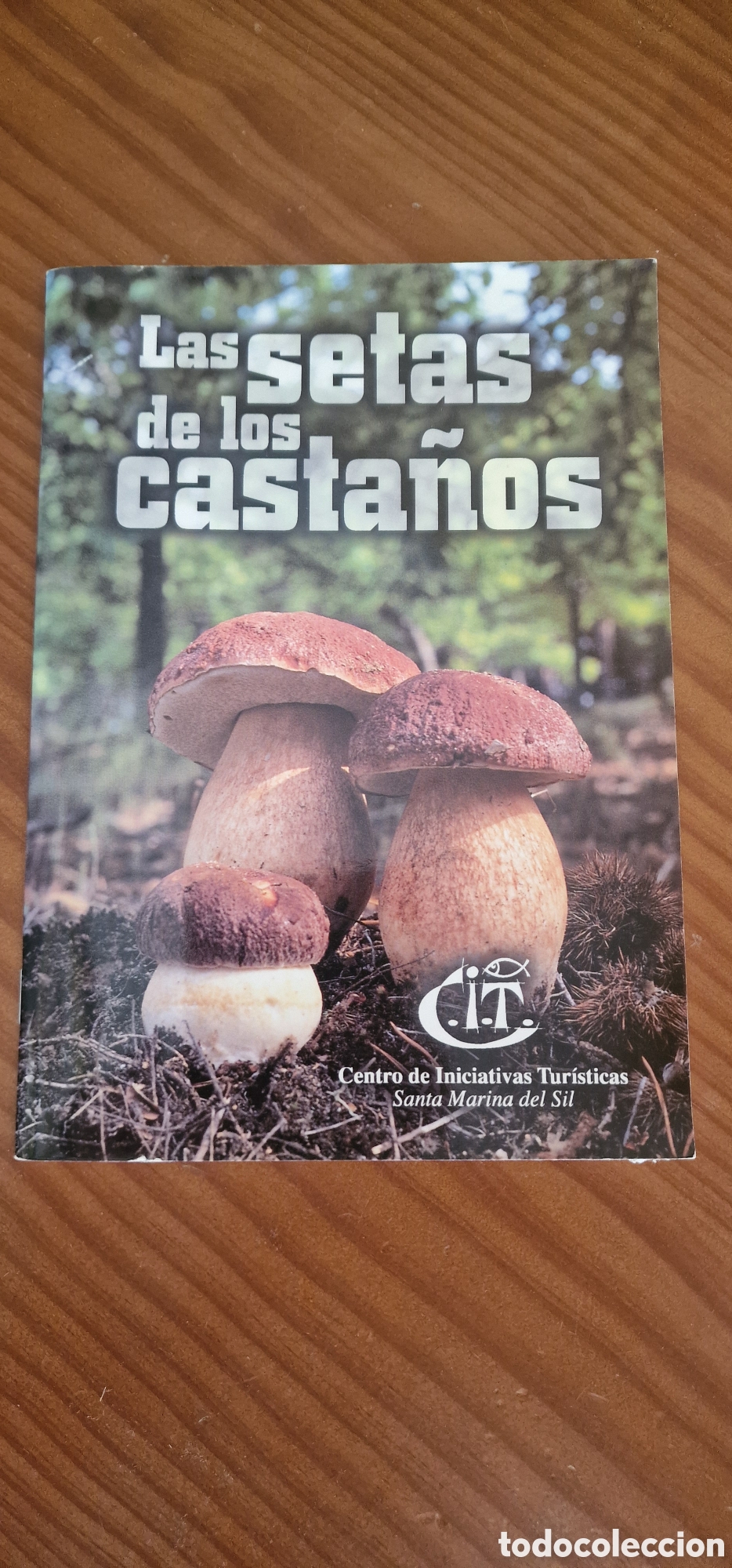 Libros de segunda mano: Las setas de los Casta&ntilde;os - Foto 1