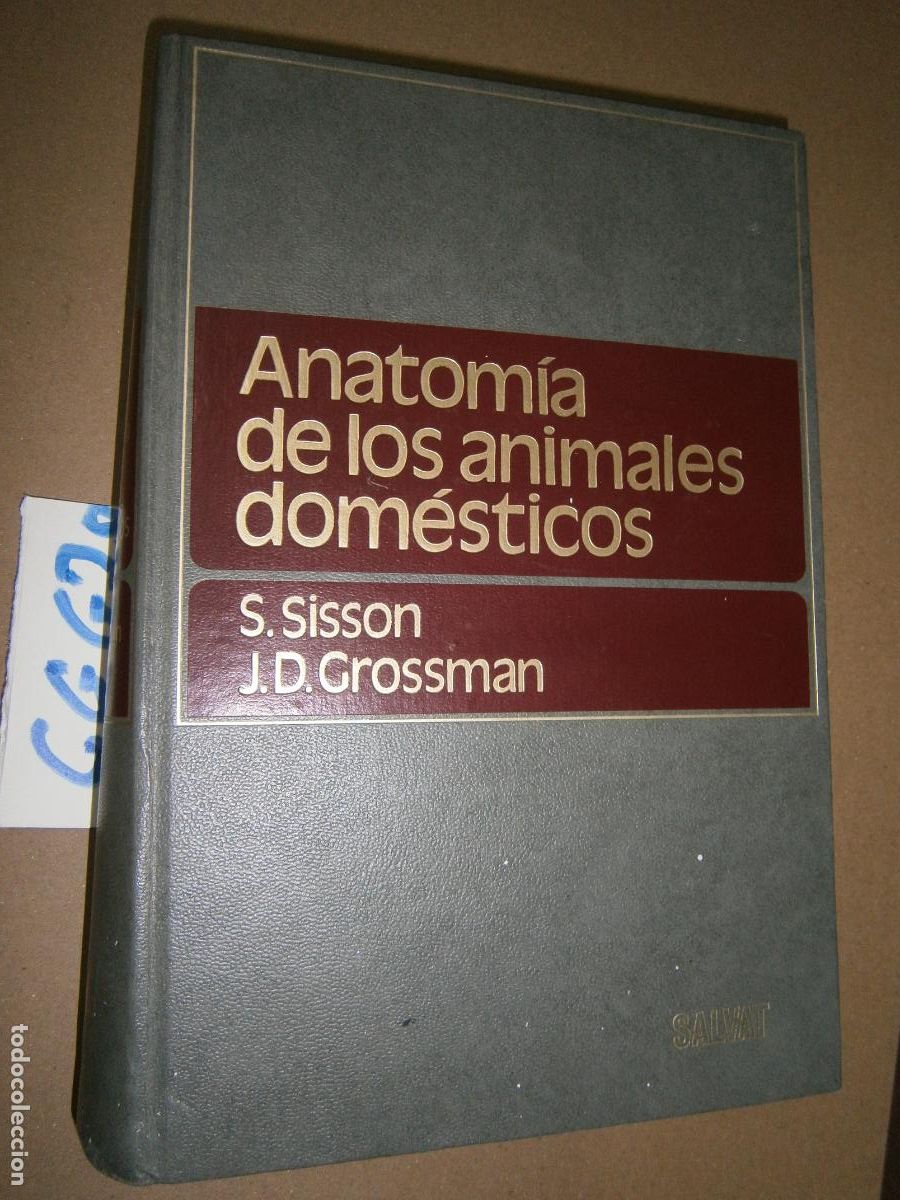 Libros de segunda mano: ANATOMIA DE LOS ANIMALES DOMESTICOS - Foto 1