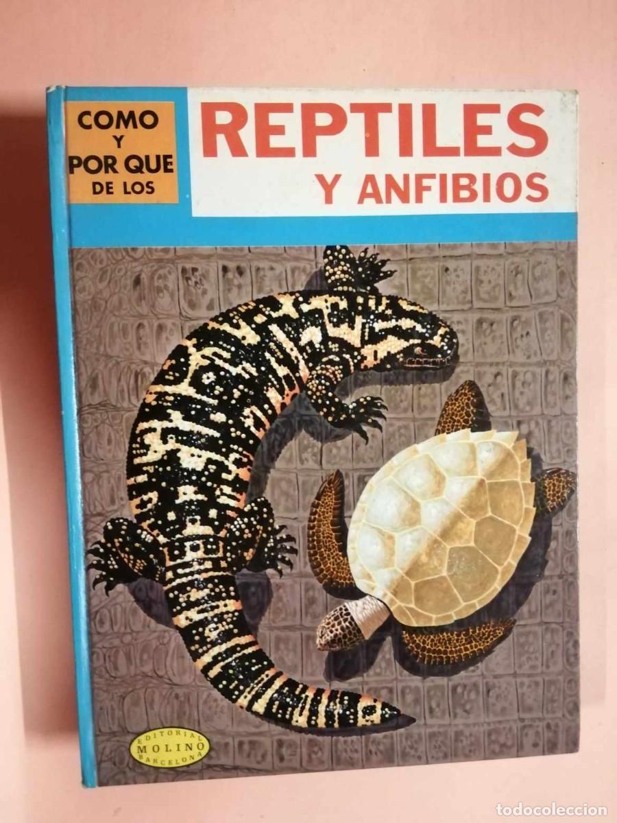 Libros de segunda mano: COMO Y PORQUE DE LOS REPTILES Y ANFIBIOS (EDITORIAL MOLINO) - Foto 1