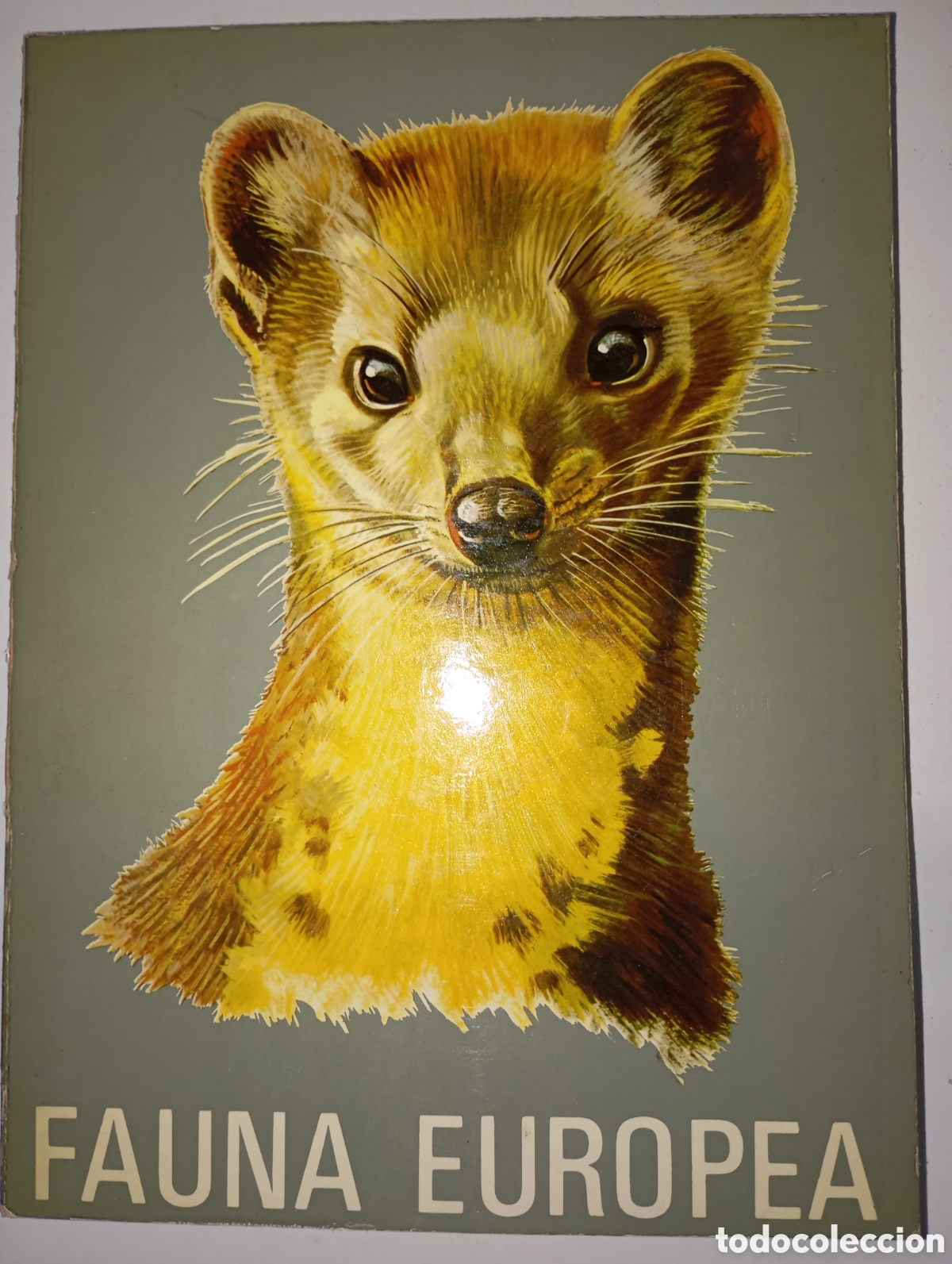 Libros de segunda mano: Fauna europea, Ed. Timun Mas - Foto 1