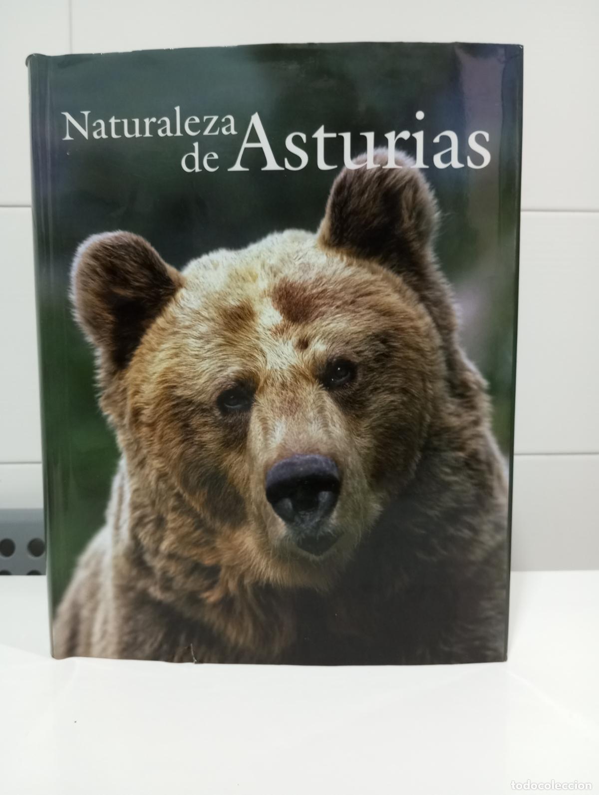 Libros de segunda mano: NATURALEZA DE ASTURIAS - Foto 1