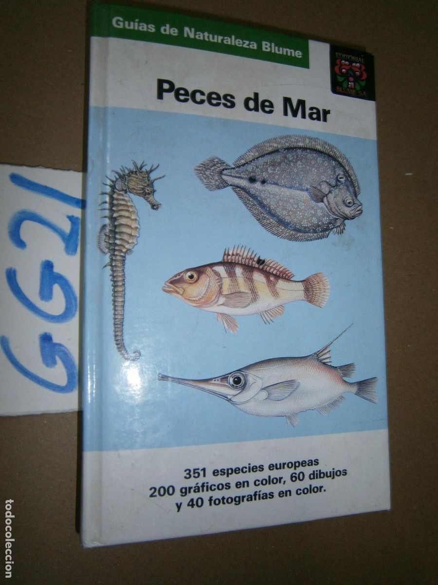 Libros de segunda mano: -- PECES DEL MAR --- - Foto 1