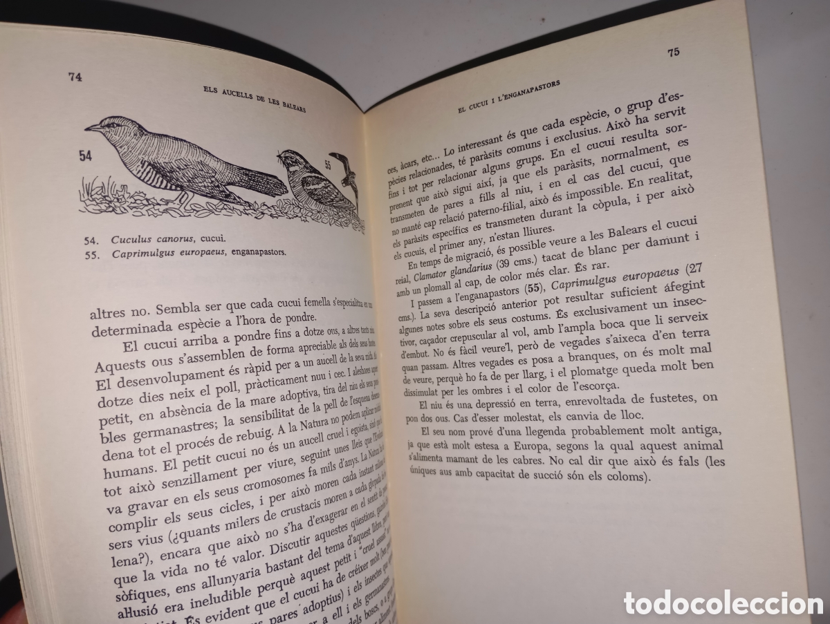 Libros de segunda mano: Els aucells de les Balears - Foto 3