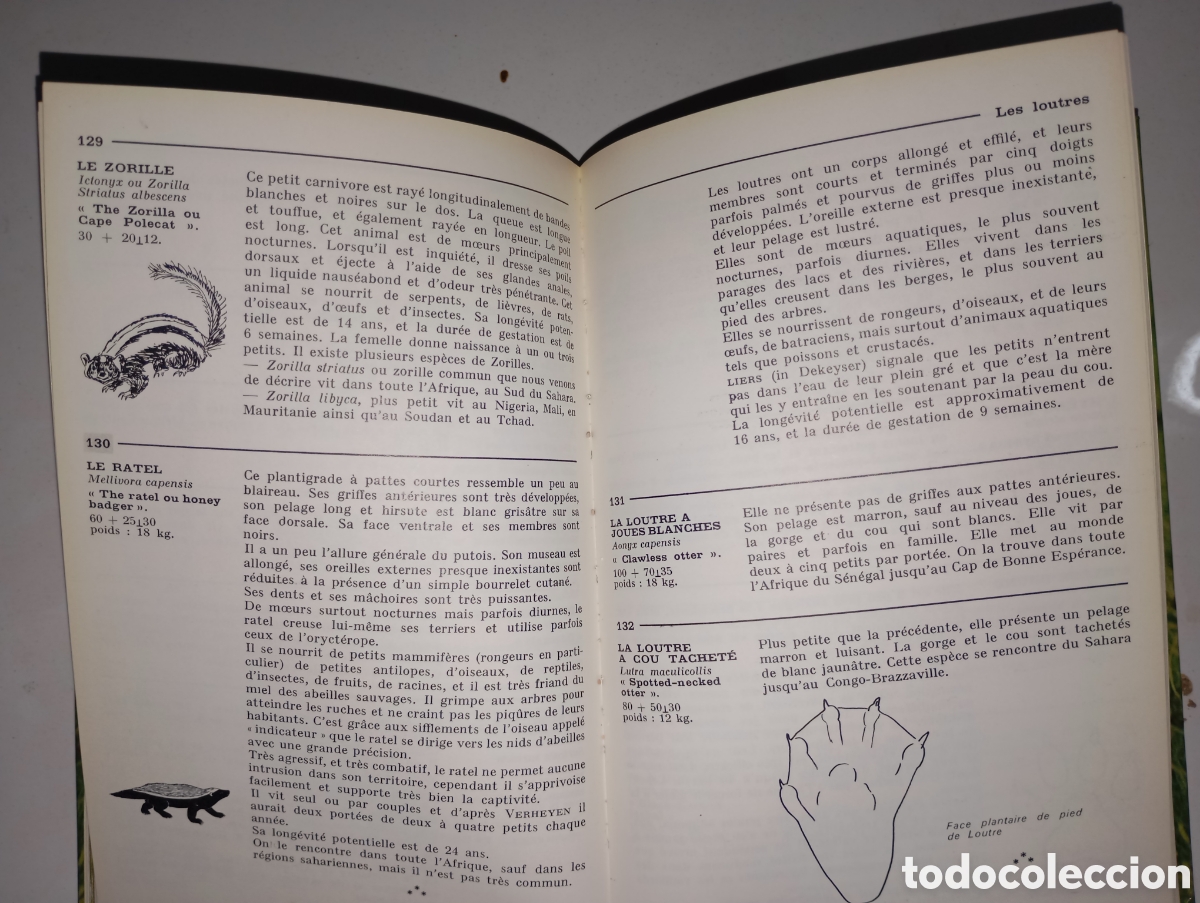 Libros de segunda mano: Animaux et r&eacute;serves dAfrique - Foto 3