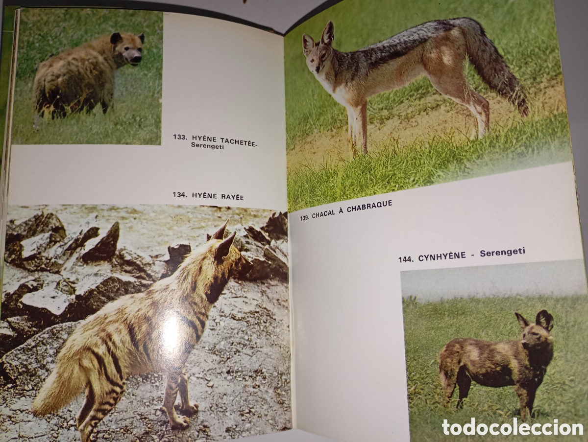 Libros de segunda mano: Animaux et r&eacute;serves dAfrique - Foto 4