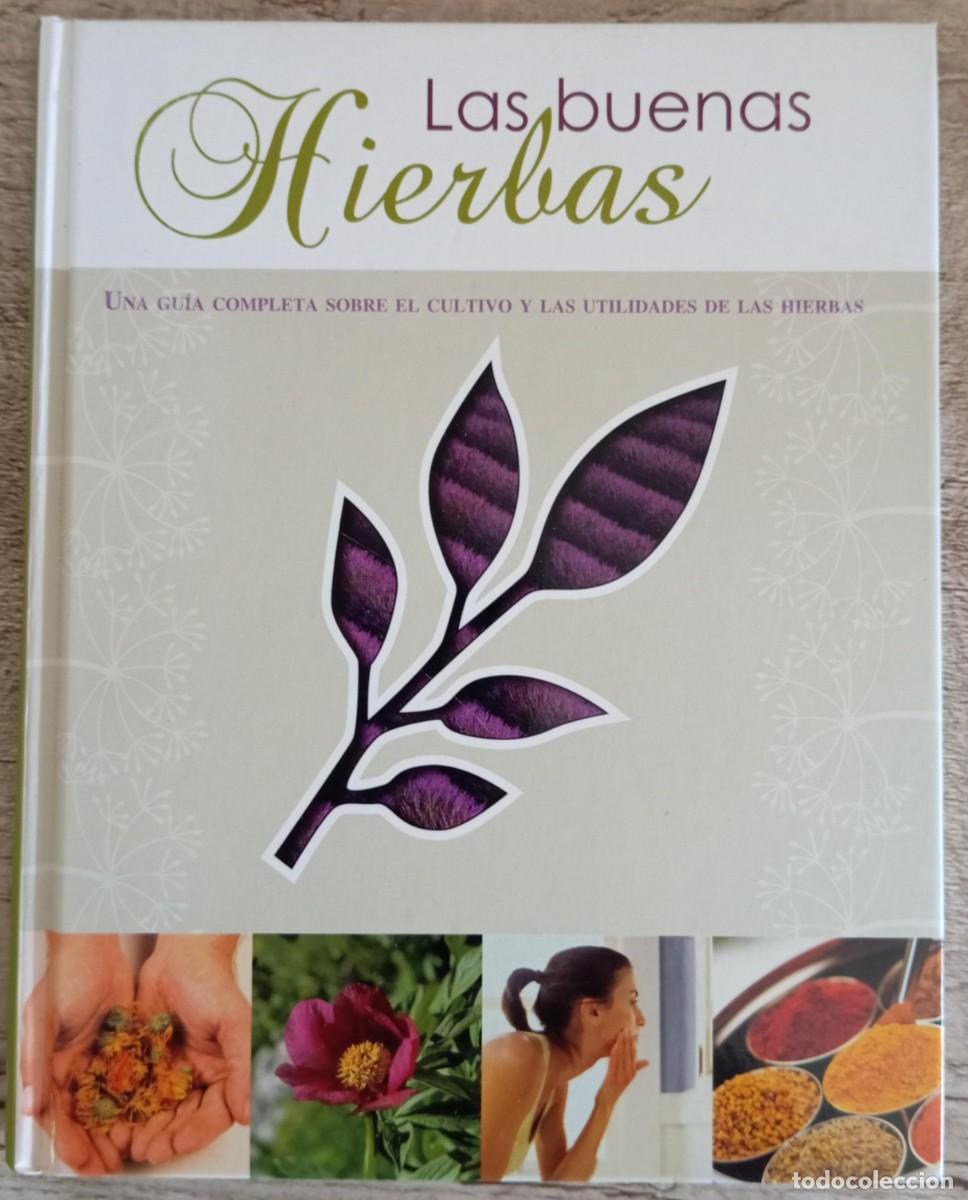 Libros de segunda mano: LAS BUENAS HIERBAS - PARRAGON - Foto 1