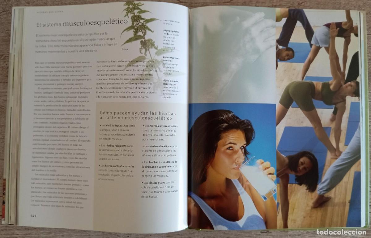 Libros de segunda mano: LAS BUENAS HIERBAS - PARRAGON - Foto 4