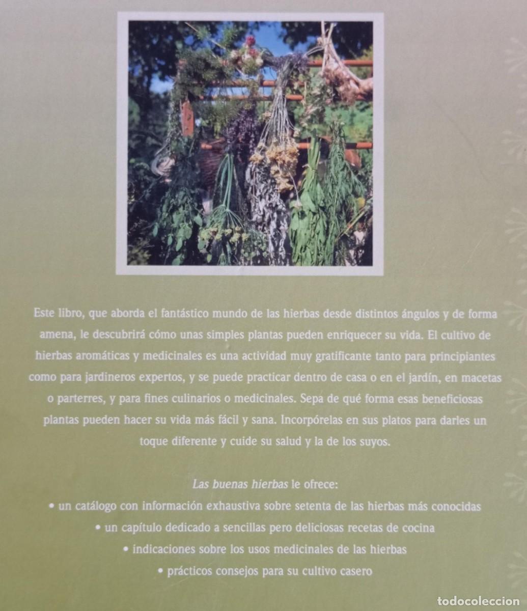 Libros de segunda mano: LAS BUENAS HIERBAS - PARRAGON - Foto 5