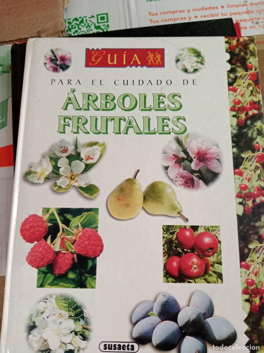 Libros de segunda mano: TOP-08 LIBRO Gu&iacute;a para el cuidado de &aacute;rboles frutales. Eric Charton. - Foto 1