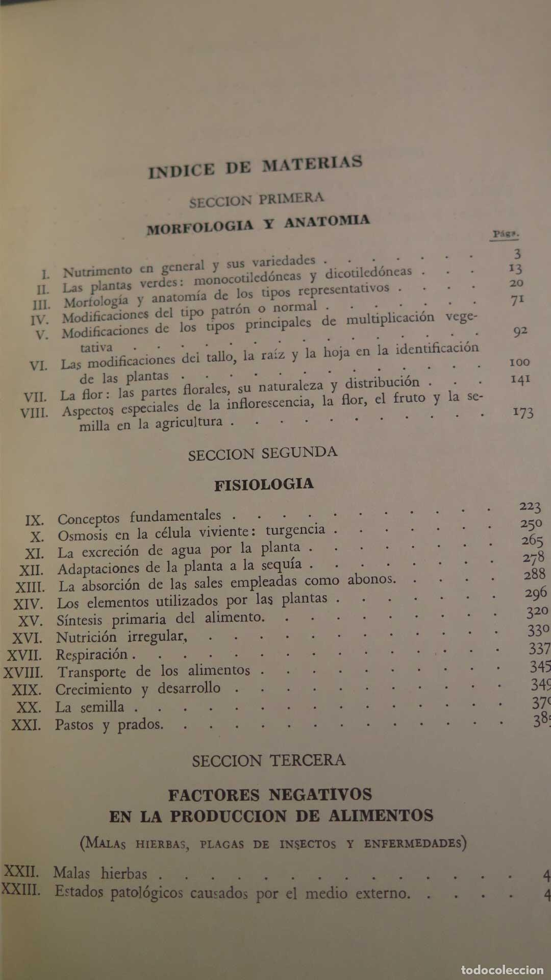 Libros de segunda mano: BOT&Aacute;NICA AGR&Iacute;COLA ALEXANDER NELSON - Foto 2