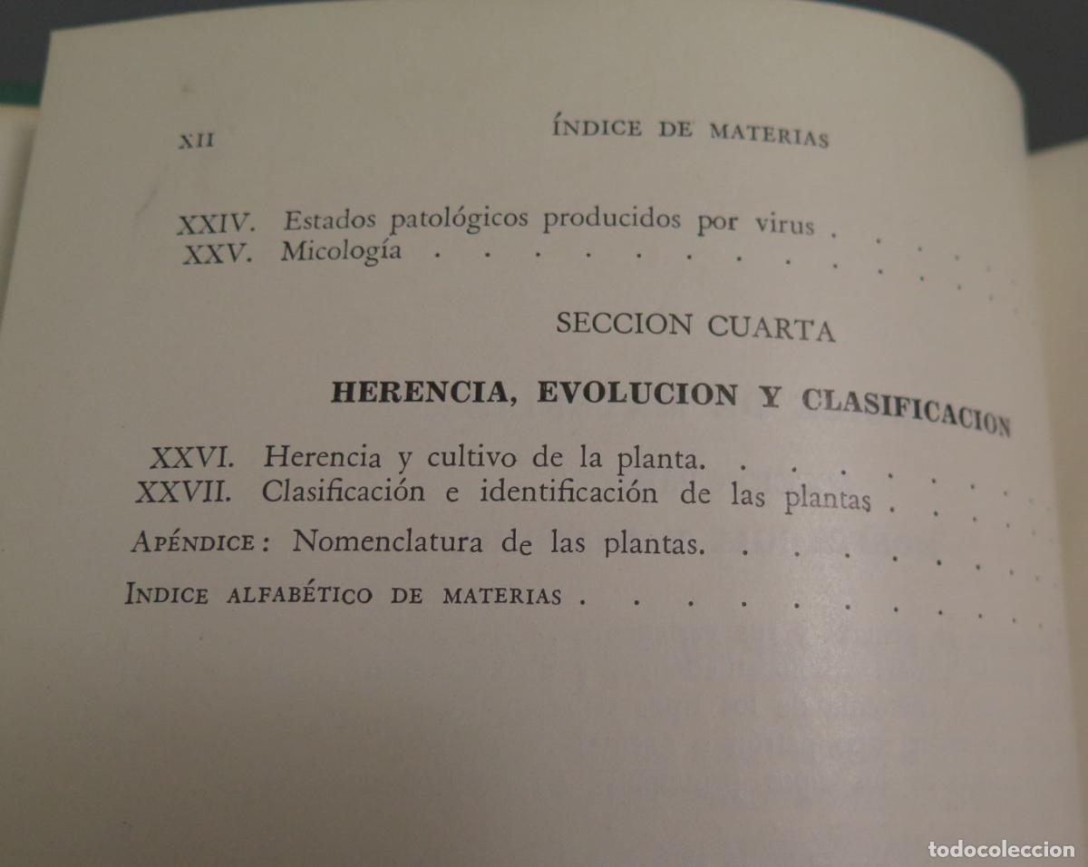 Libros de segunda mano: BOT&Aacute;NICA AGR&Iacute;COLA ALEXANDER NELSON - Foto 3