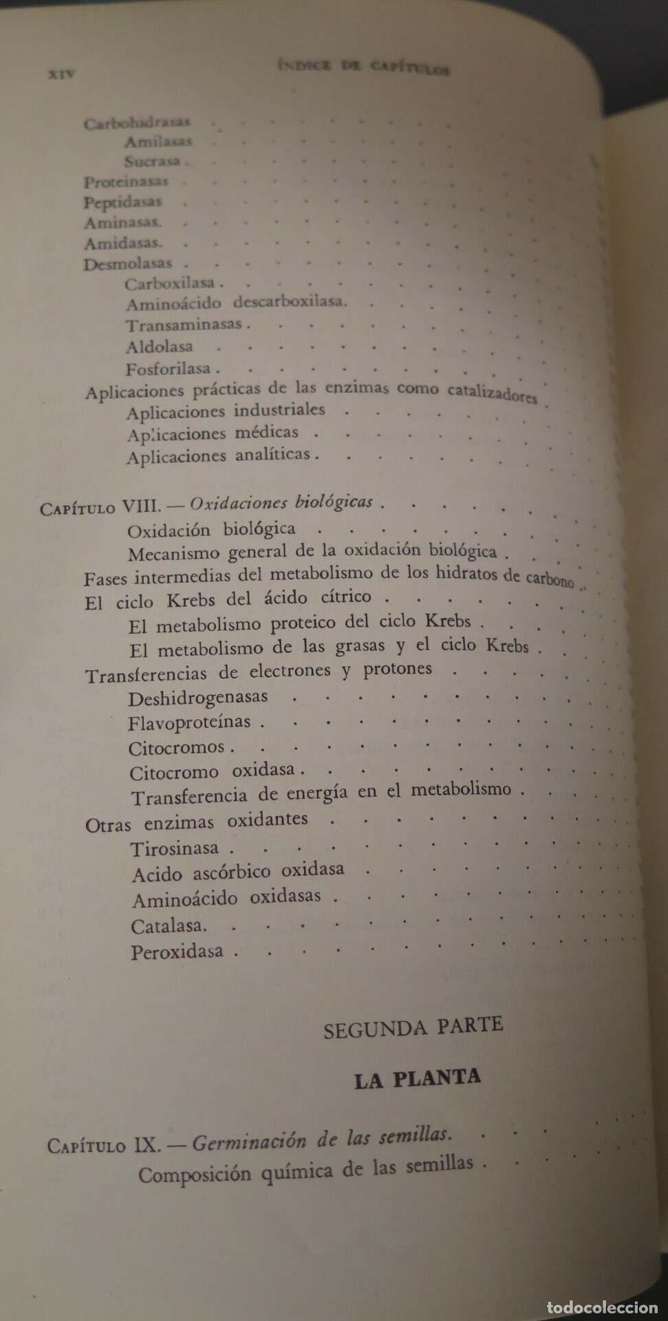 Libros de segunda mano: Fundamentos de Bioqu&iacute;mica agr&iacute;cola Dutcher - Foto 5