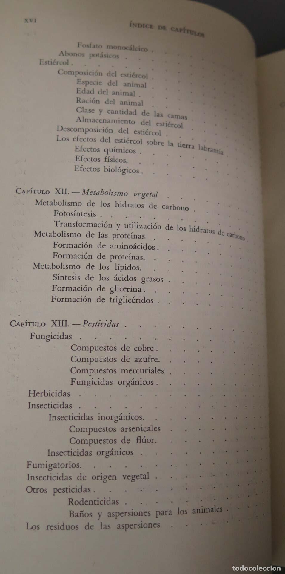Libros de segunda mano: Fundamentos de Bioqu&iacute;mica agr&iacute;cola Dutcher - Foto 7