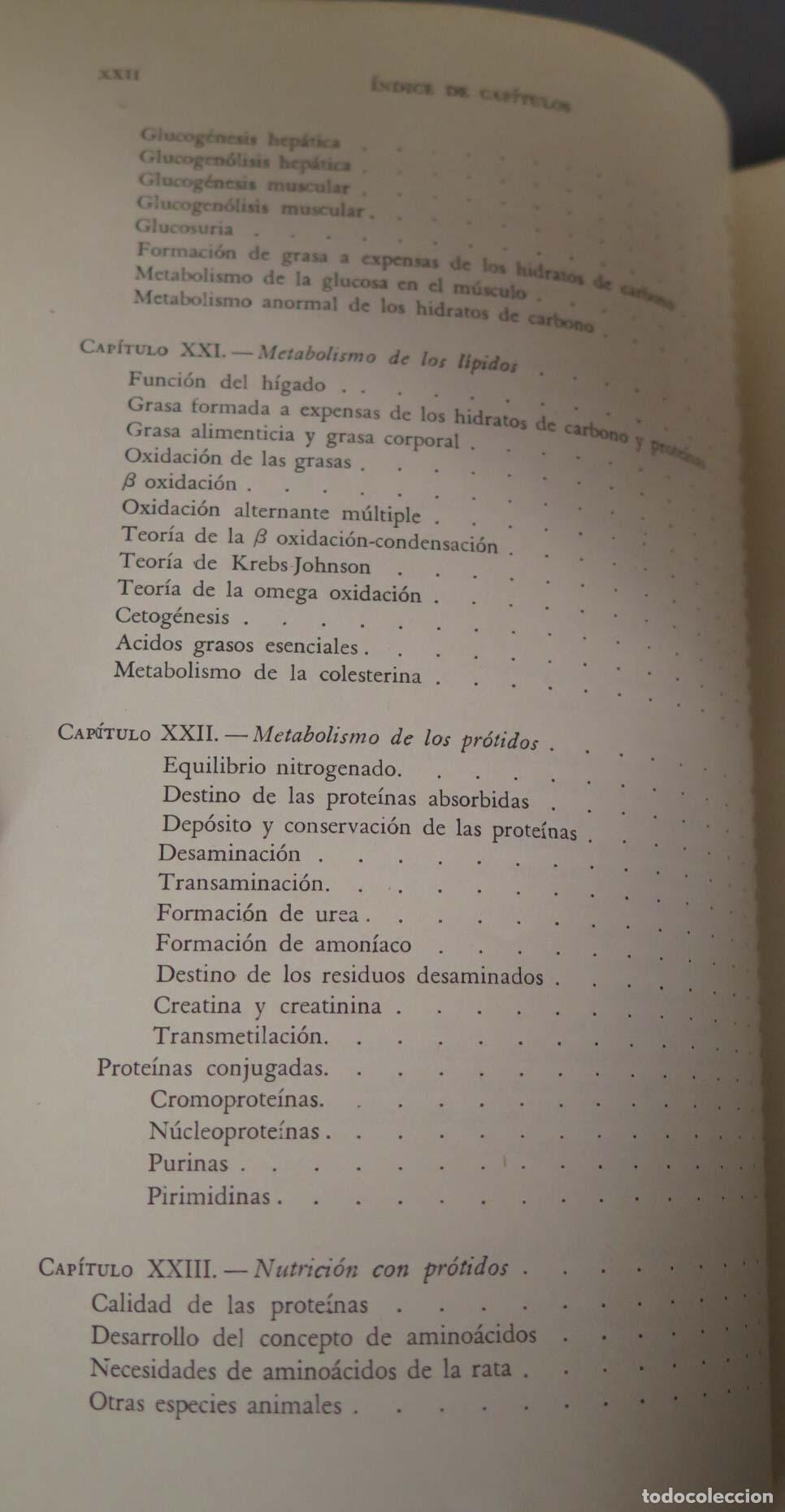 Libros de segunda mano: Fundamentos de Bioqu&iacute;mica agr&iacute;cola Dutcher - Foto 13