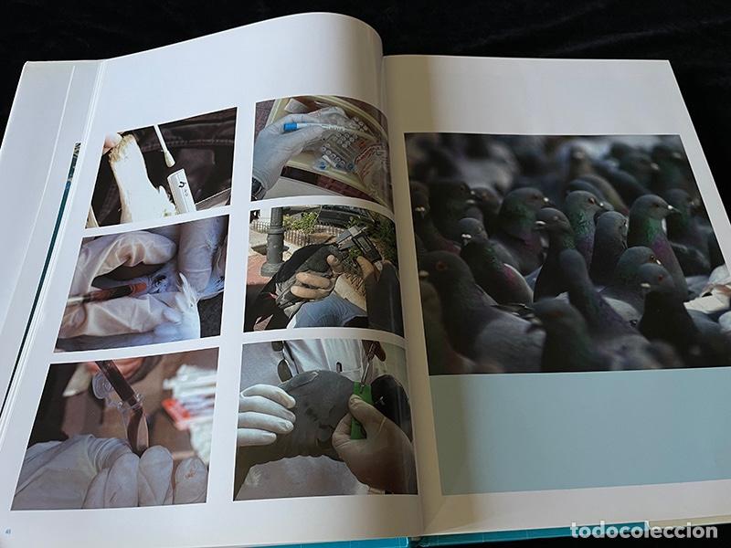Libros de segunda mano: LIBRO DE GRAN FORMATO AVIFAUNA DE LA CIUDAD DE VALENCIA - Foto 3