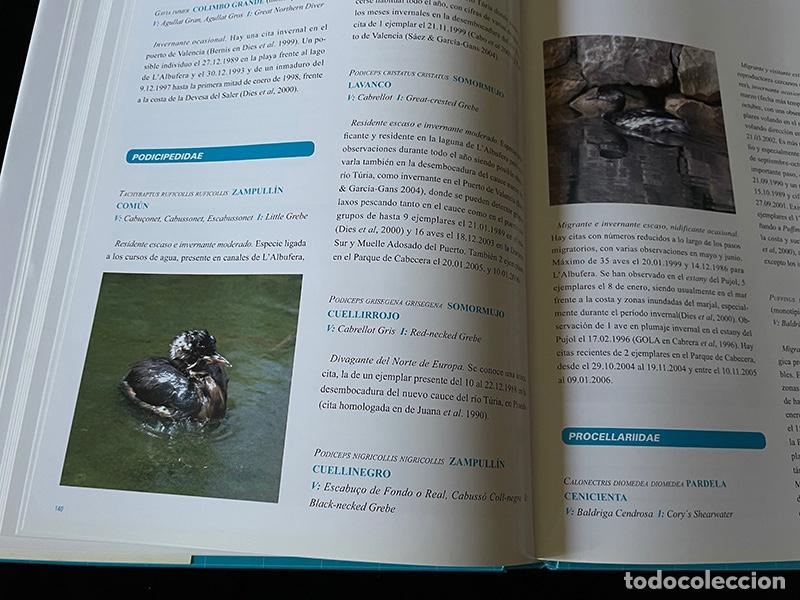 Libros de segunda mano: LIBRO DE GRAN FORMATO AVIFAUNA DE LA CIUDAD DE VALENCIA - Foto 4