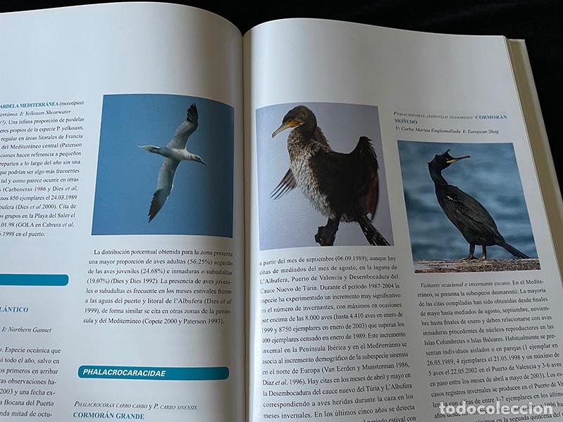 Libros de segunda mano: LIBRO DE GRAN FORMATO AVIFAUNA DE LA CIUDAD DE VALENCIA - Foto 5