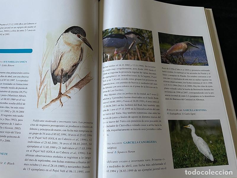 Libros de segunda mano: LIBRO DE GRAN FORMATO AVIFAUNA DE LA CIUDAD DE VALENCIA - Foto 6