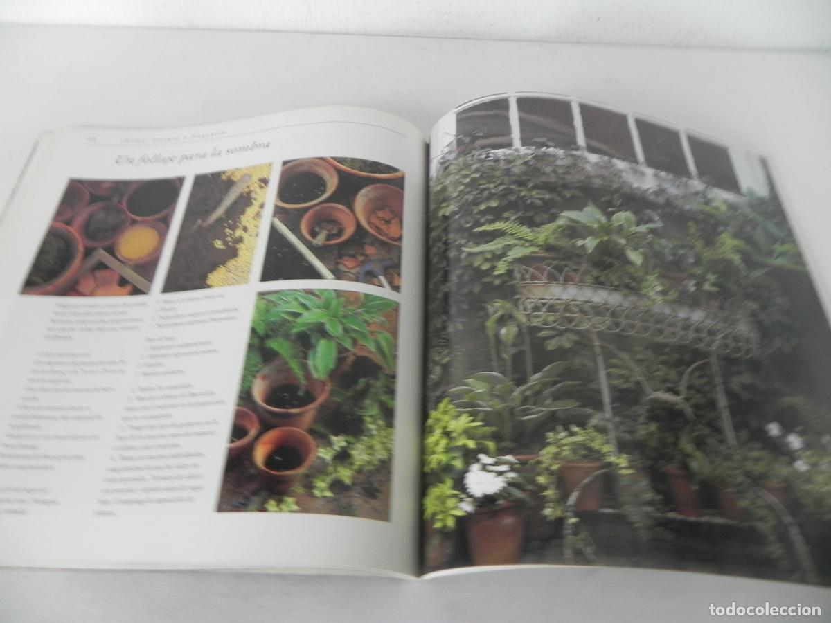 Libros de segunda mano: BALCONES Y VENTANAS FLORIDOS (DAVID JOYCE) GUSTAVO GILI-1995 - Foto 6