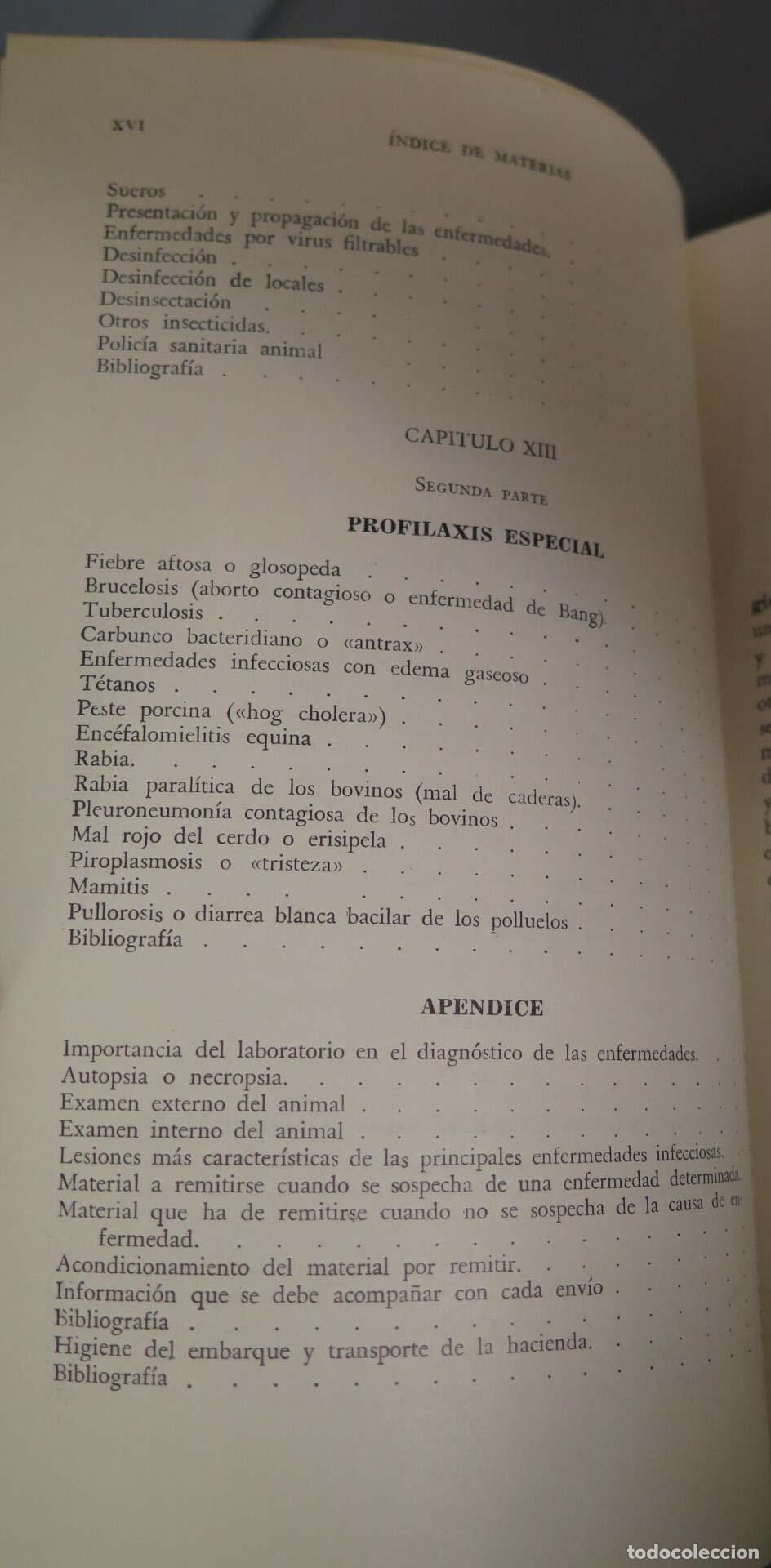 Libros de segunda mano: Higiene pecuaria. Falcionelli - Foto 9