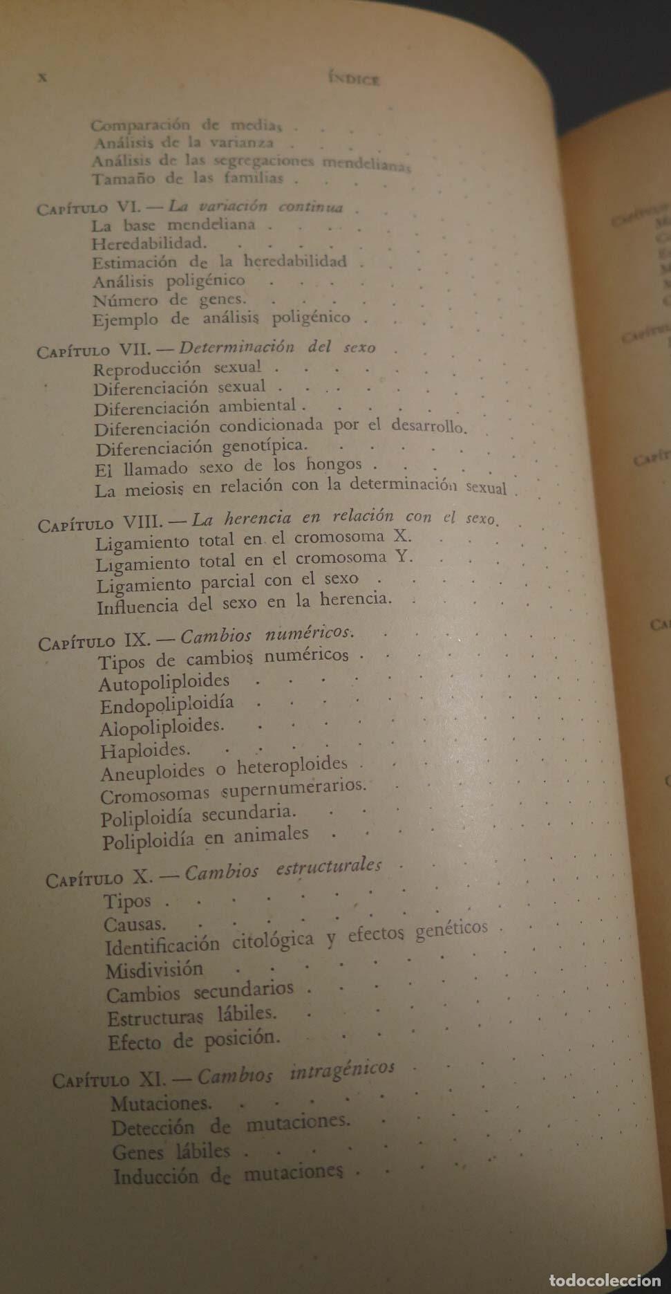 Libros de segunda mano: Gen&eacute;tica general y agr&iacute;cola S&aacute;nchez-Monge - Foto 3
