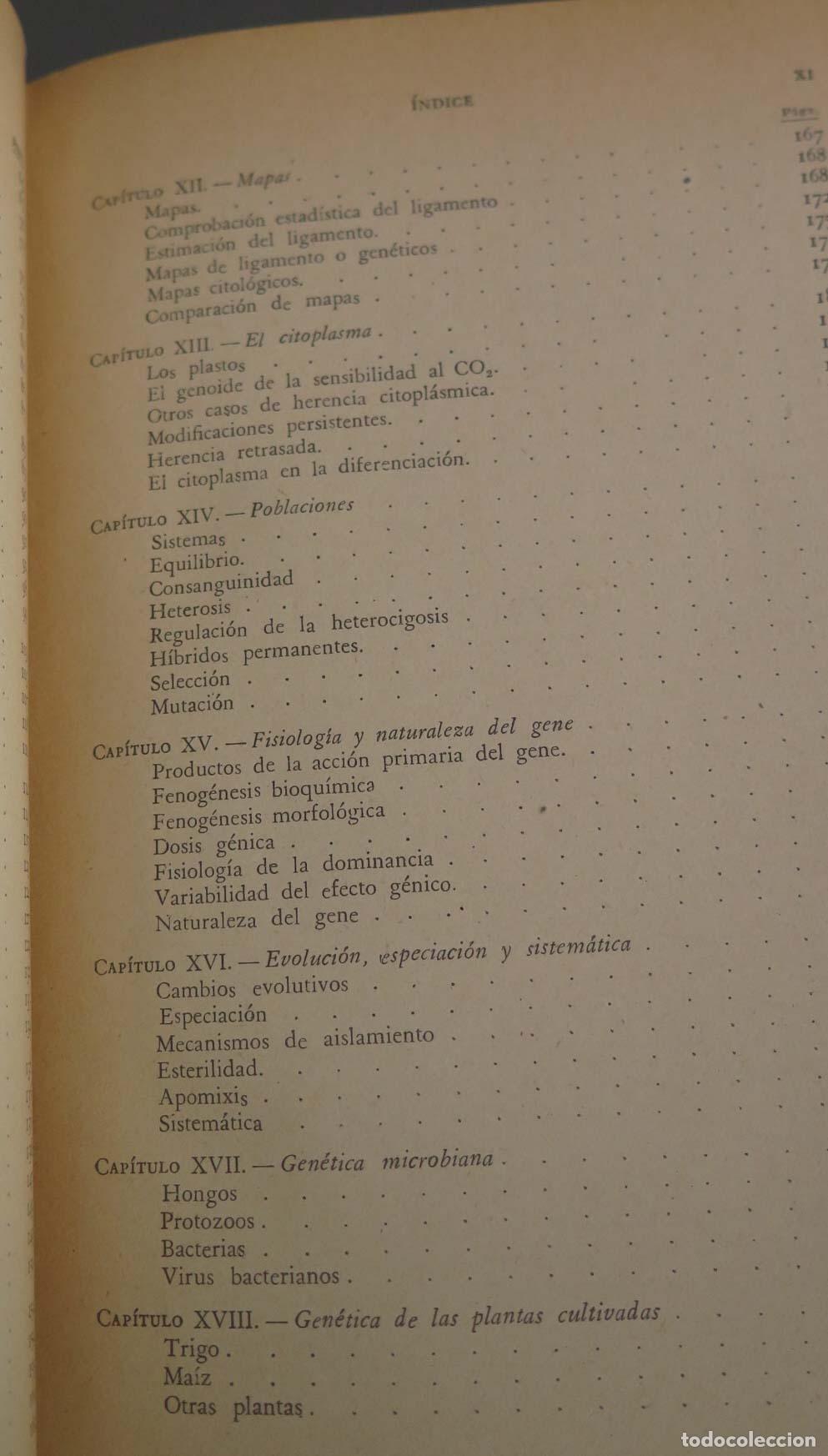 Libros de segunda mano: Gen&eacute;tica general y agr&iacute;cola S&aacute;nchez-Monge - Foto 4