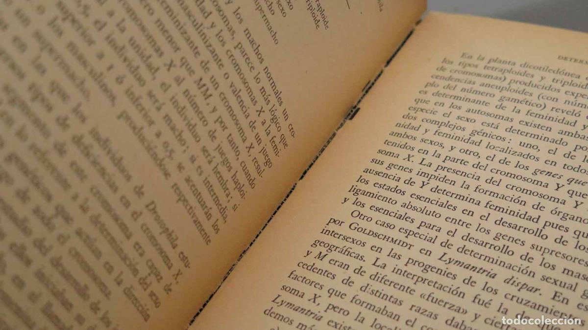 Libros de segunda mano: Gen&eacute;tica general y agr&iacute;cola S&aacute;nchez-Monge - Foto 6