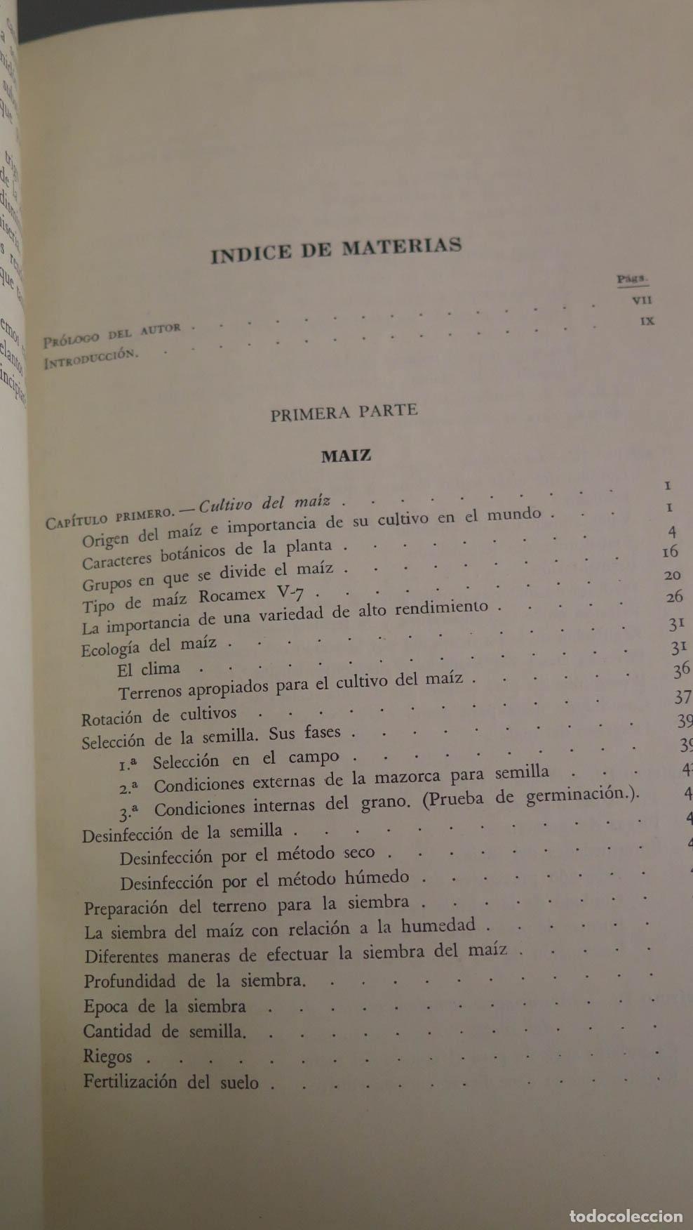 Libros de segunda mano: CEREALES DE PRIMAVERA Alfonso D&iacute;az del Pino - Foto 2