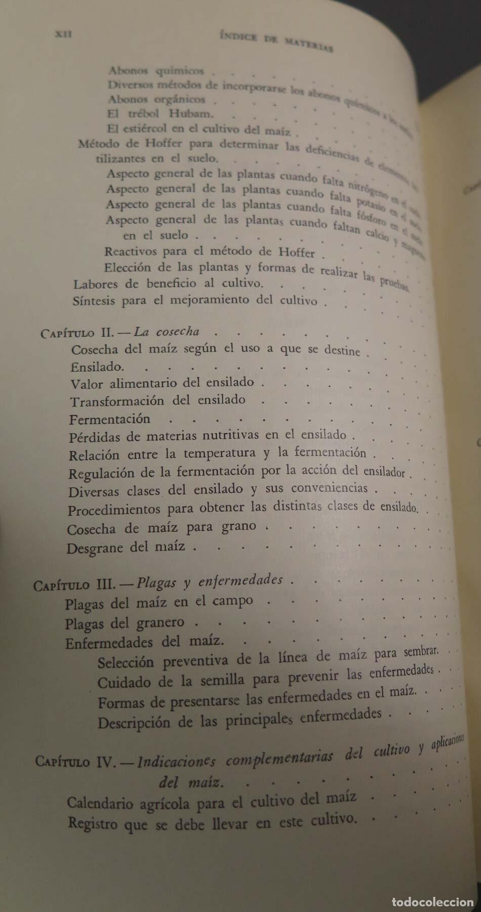 Libros de segunda mano: CEREALES DE PRIMAVERA Alfonso D&iacute;az del Pino - Foto 3
