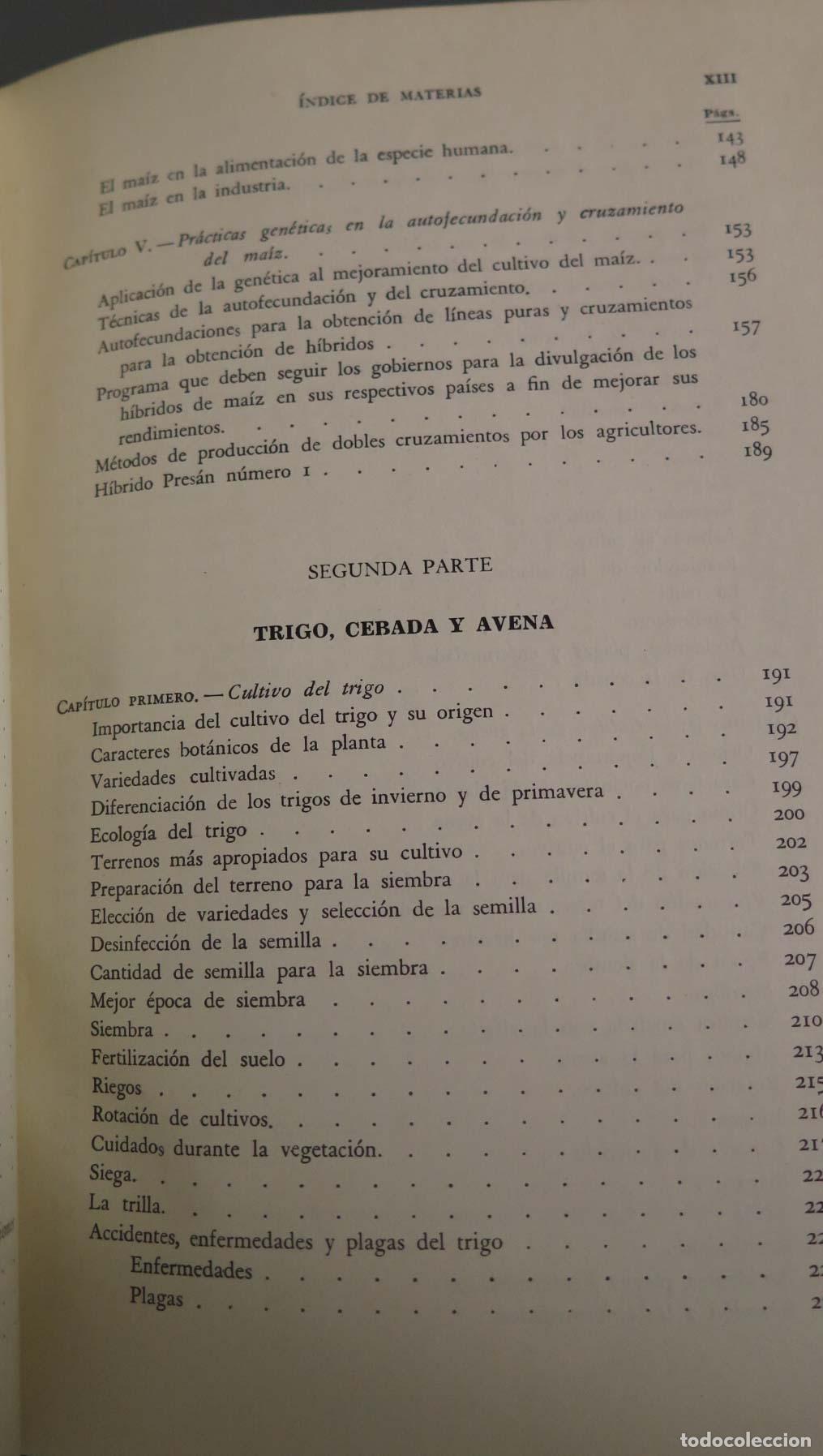 Libros de segunda mano: CEREALES DE PRIMAVERA Alfonso D&iacute;az del Pino - Foto 4
