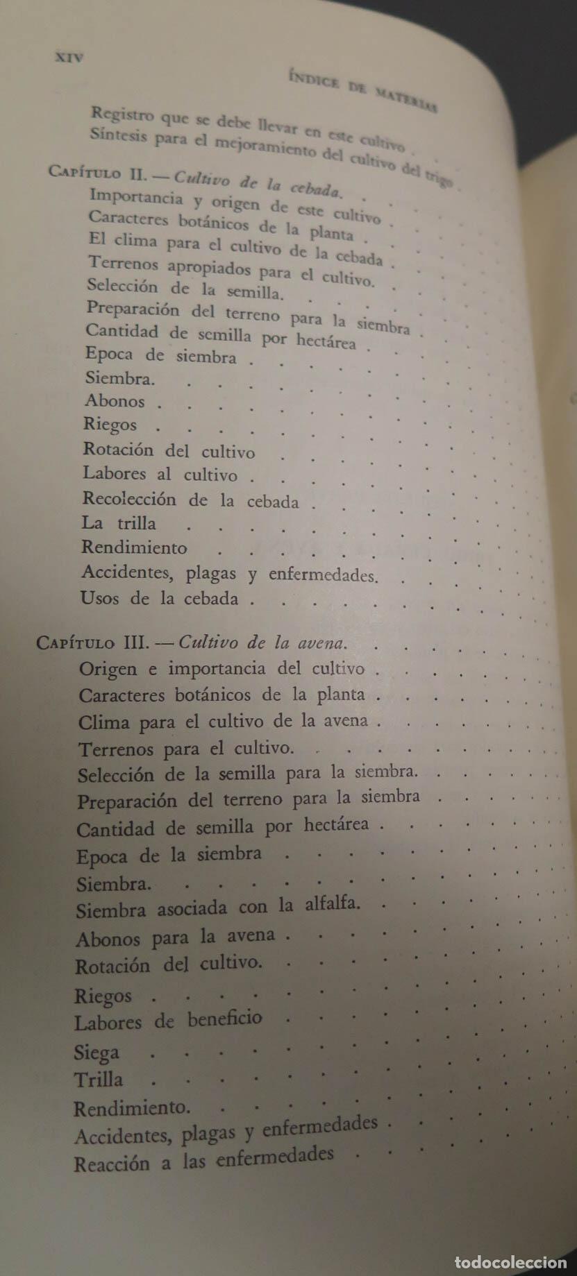 Libros de segunda mano: CEREALES DE PRIMAVERA Alfonso D&iacute;az del Pino - Foto 5