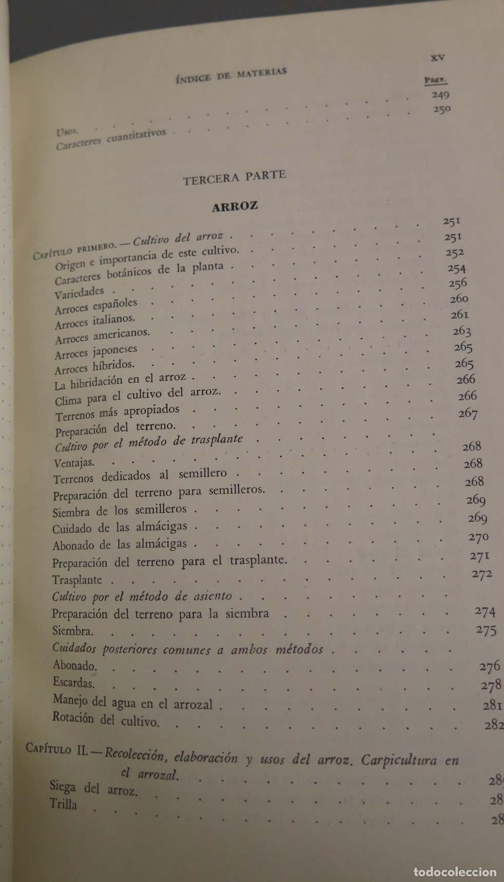 Libros de segunda mano: CEREALES DE PRIMAVERA Alfonso D&iacute;az del Pino - Foto 6
